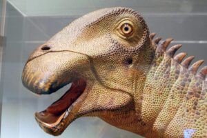 Which Dinosaur Has 500 Teeth? Answer Explained